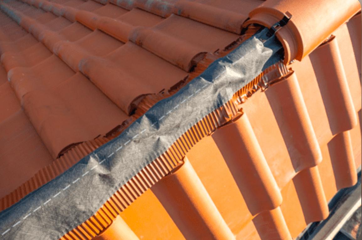 Nettoyage et rénovation de toiture : avant intervention