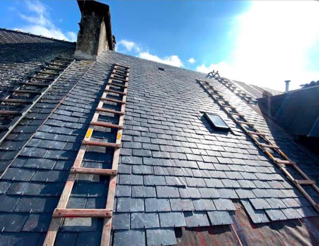 Nettoyage et rénovation de toiture : avant traitement