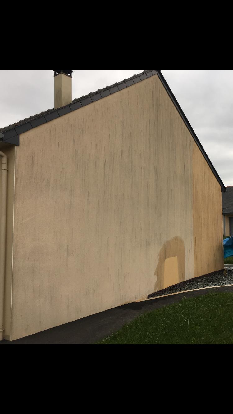 Façade avant nettoyage