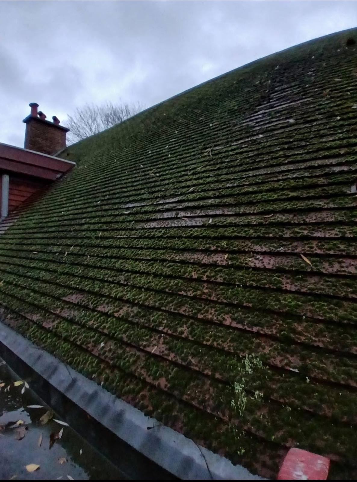 Toiture après nettoyage