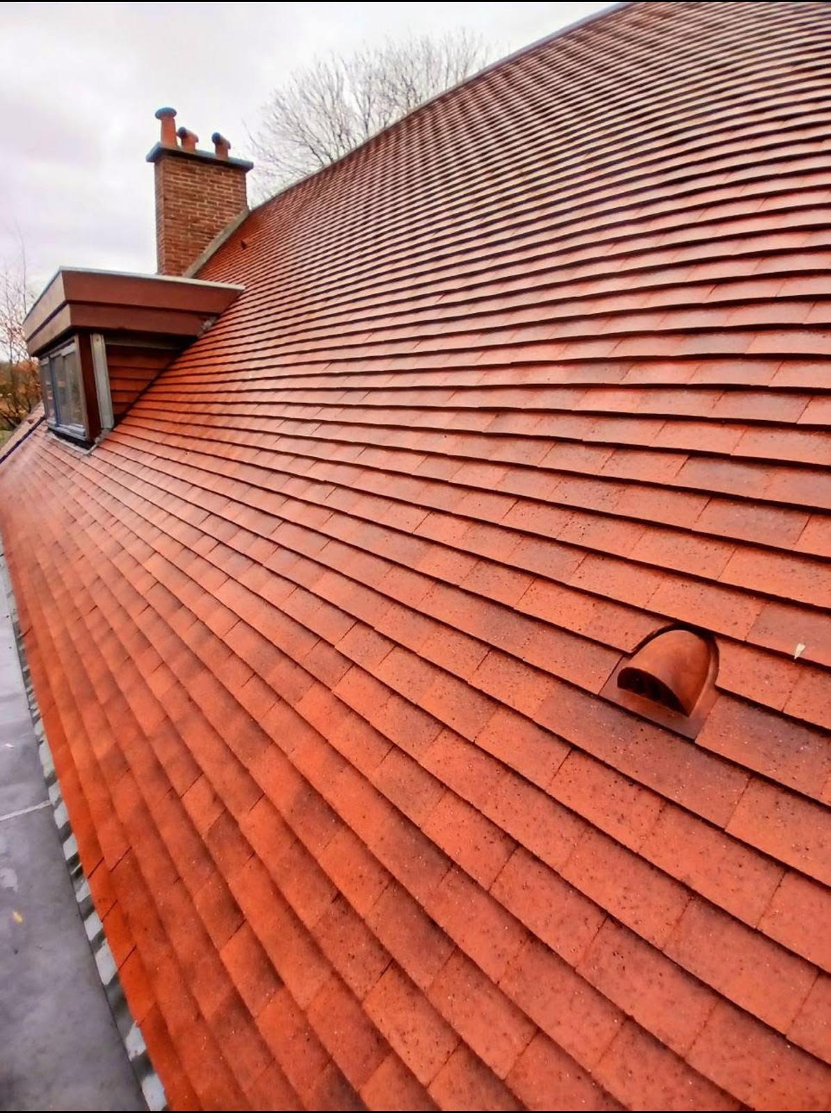 Toiture avant nettoyage