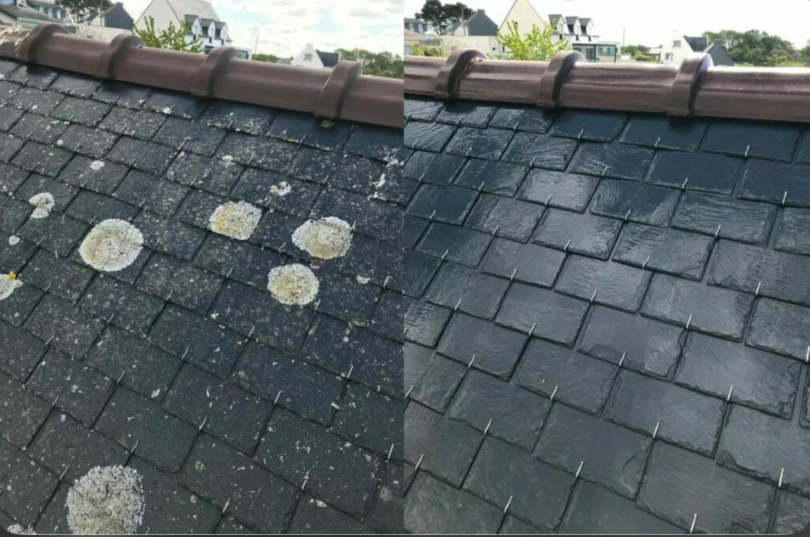 Toiture avant nettoyage