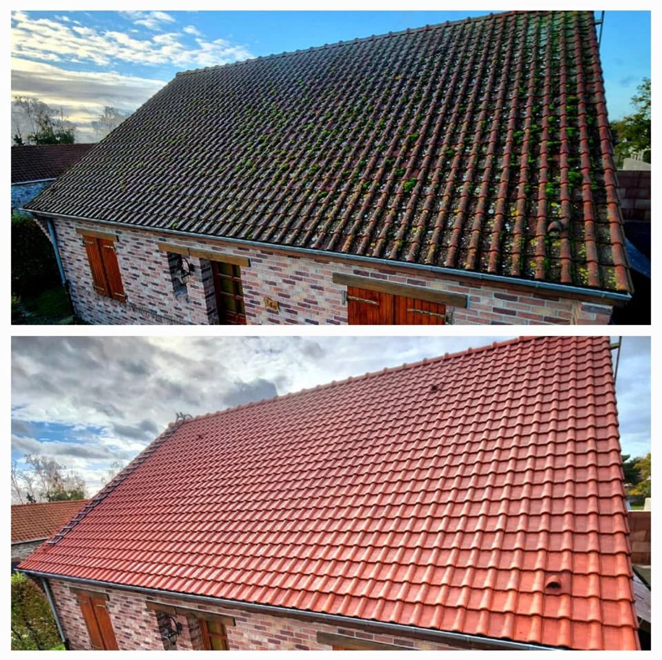 Toiture avant nettoyage