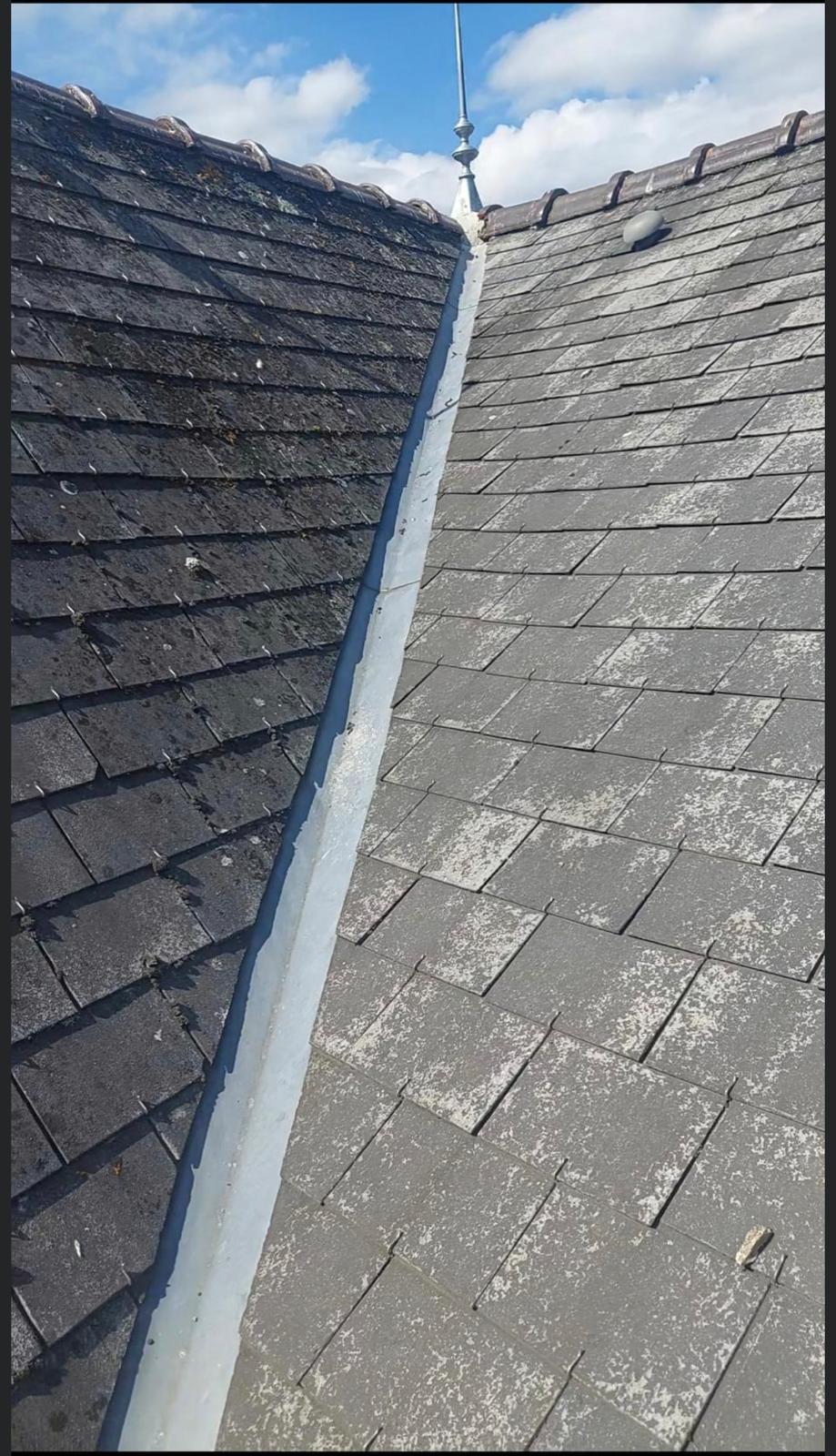 Toiture avant nettoyage