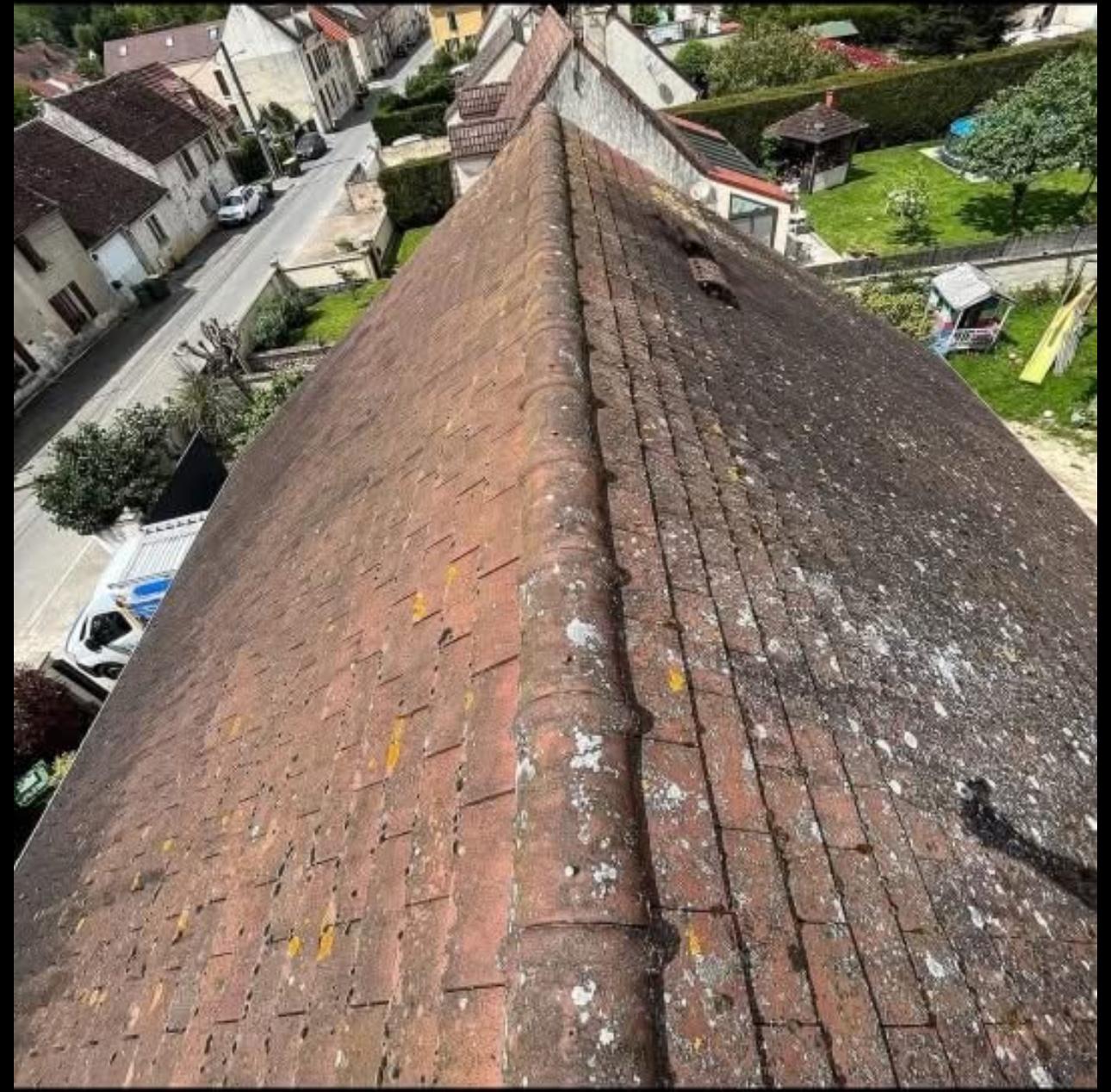 Toiture avant nettoyage