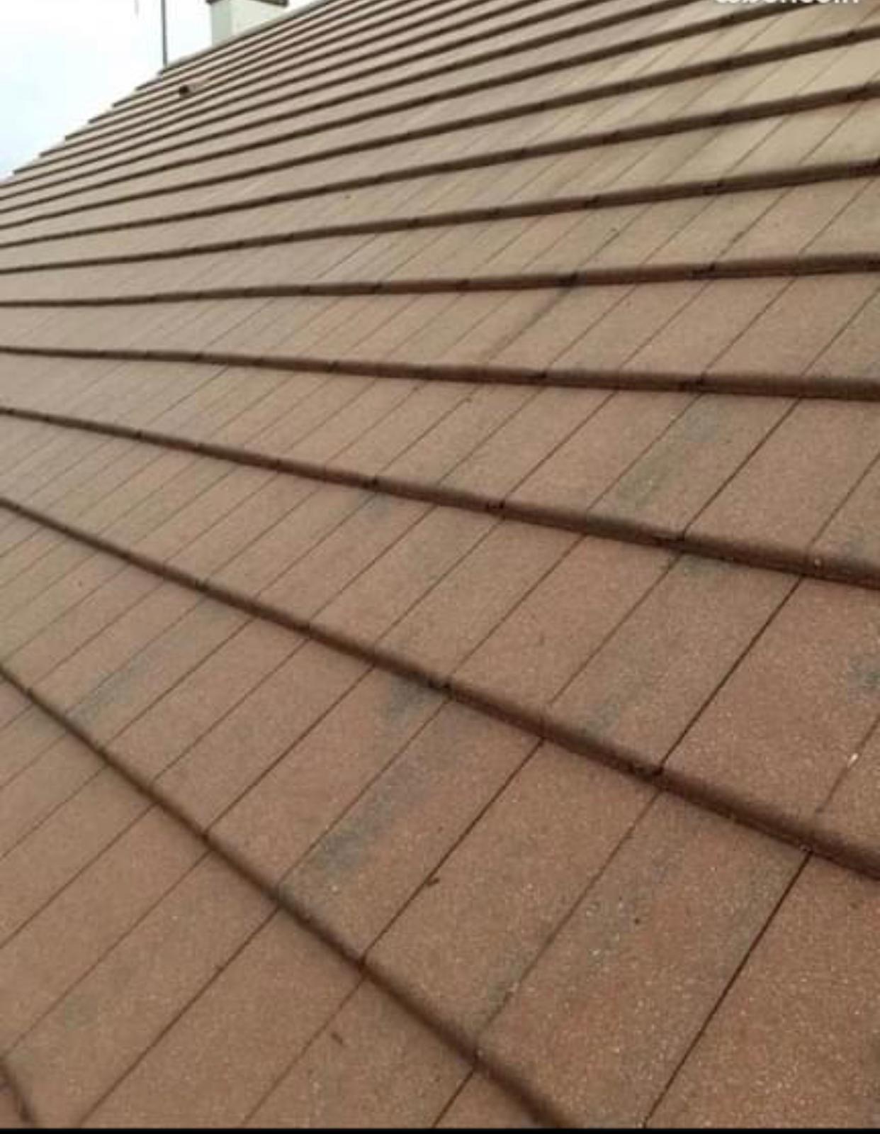 Toiture après nettoyage