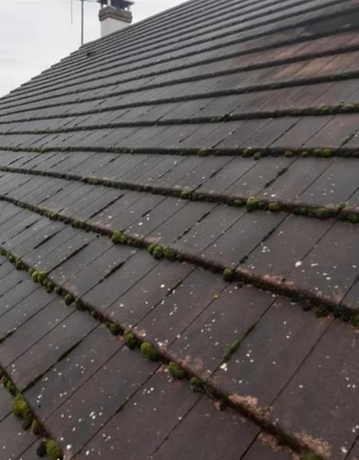 Toiture avant nettoyage